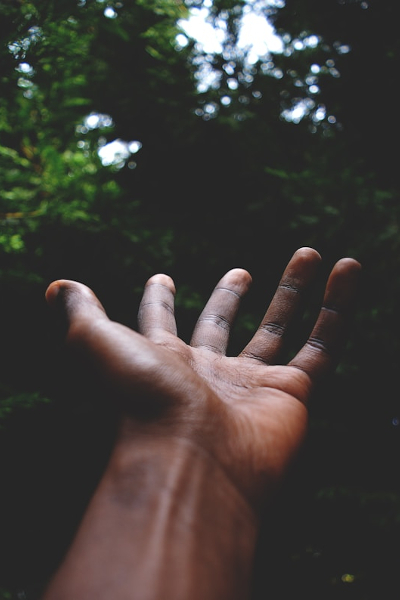 rui-silvestre-ul-ZsFLIjvw-unsplash